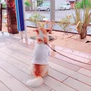 みんの画像