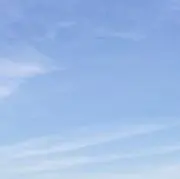 山椒魚の画像