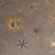 ぽん太の画像