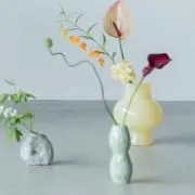 miniminiの画像