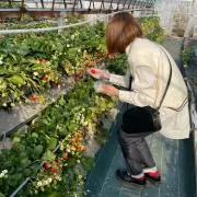 Erinaの画像