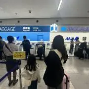 こち丸の画像