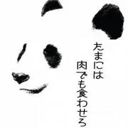 ぱんだの画像