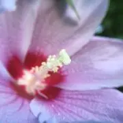 nnn8238の画像