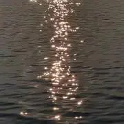 rの画像