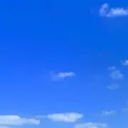 ヴァイオレット