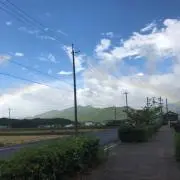 @みかんの画像