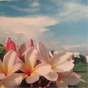 あつひの画像