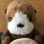 ミント☆ティーの画像