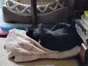 との画像