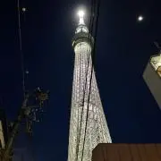 パラフィン