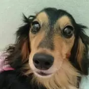 (^ ^)の画像
