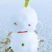 @@@の画像