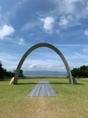 tadpoleの画像