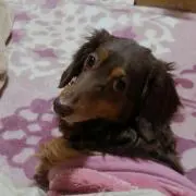かのん