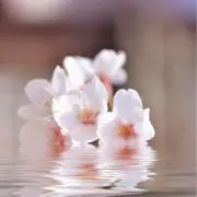 あい／値下げ可能