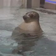 yuuuu