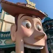 mayaの画像