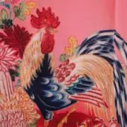 着物スキ倶楽部の画像