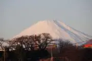しんあい