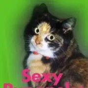 ザワさん