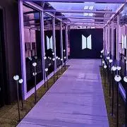 Y-purple