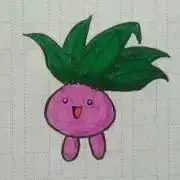 かぶひめの画像