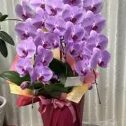 蘭　[プロフィール必読必須]の画像