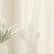 みるくの画像