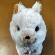 ふじよし
