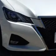 キジトラの画像