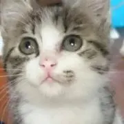 jun