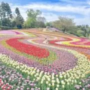 ୨୧yu-ki  ୨୧の画像
