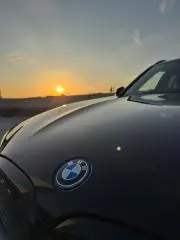 トイプードルの画像