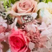 華麗の画像