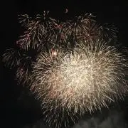 Yuの画像