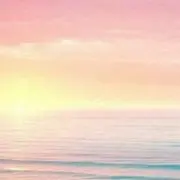 ANの画像