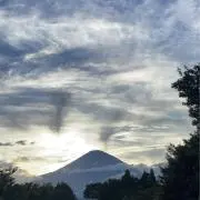 Go-byOの画像