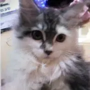 みち☆
