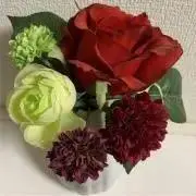 Ｈana☆の画像