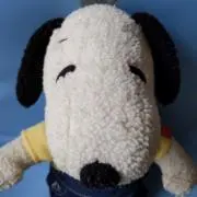まっちゅ