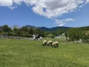 カラカラの画像