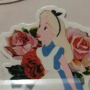 かおりん丸の画像