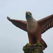 RNの画像