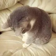 H♡プロフ必読*