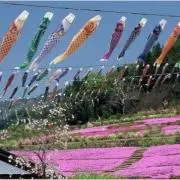soraの画像
