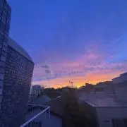 グルンの画像