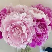 Yiy683の画像