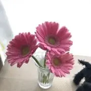 ぱふ❣️プロフ読んでね❣️の画像