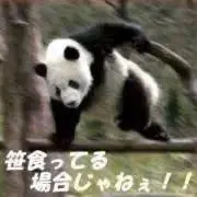 澪@現在多忙、購入前プロフ必読